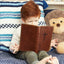 NKJV, Holy Bible for Kids, Leathersoft, Brown, Comfort Print: Holy Bible, New King James Version