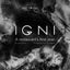 Igni: A Restaurant's First Year