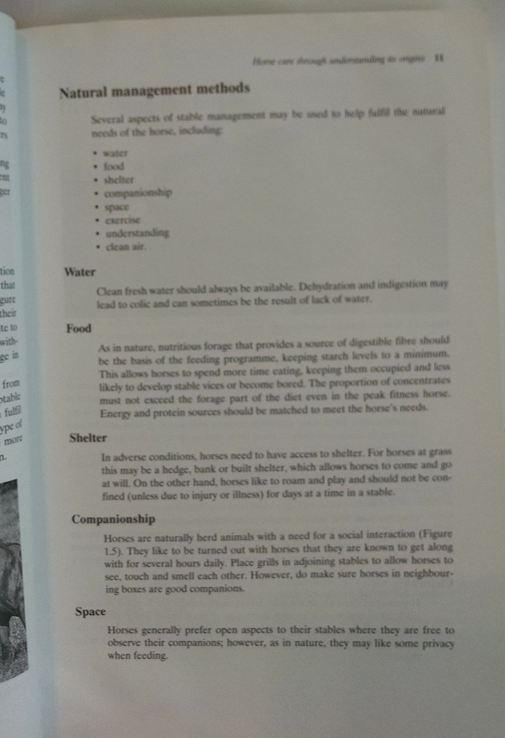 Horse and Stable Management