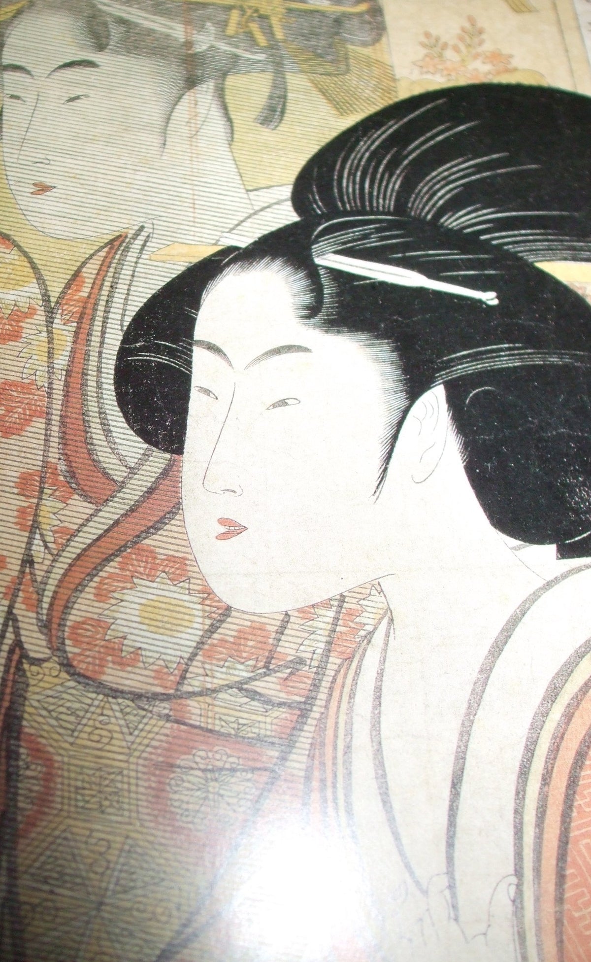 Frank Lloyd Wright and the Art of Japan: The Architects Other Passion