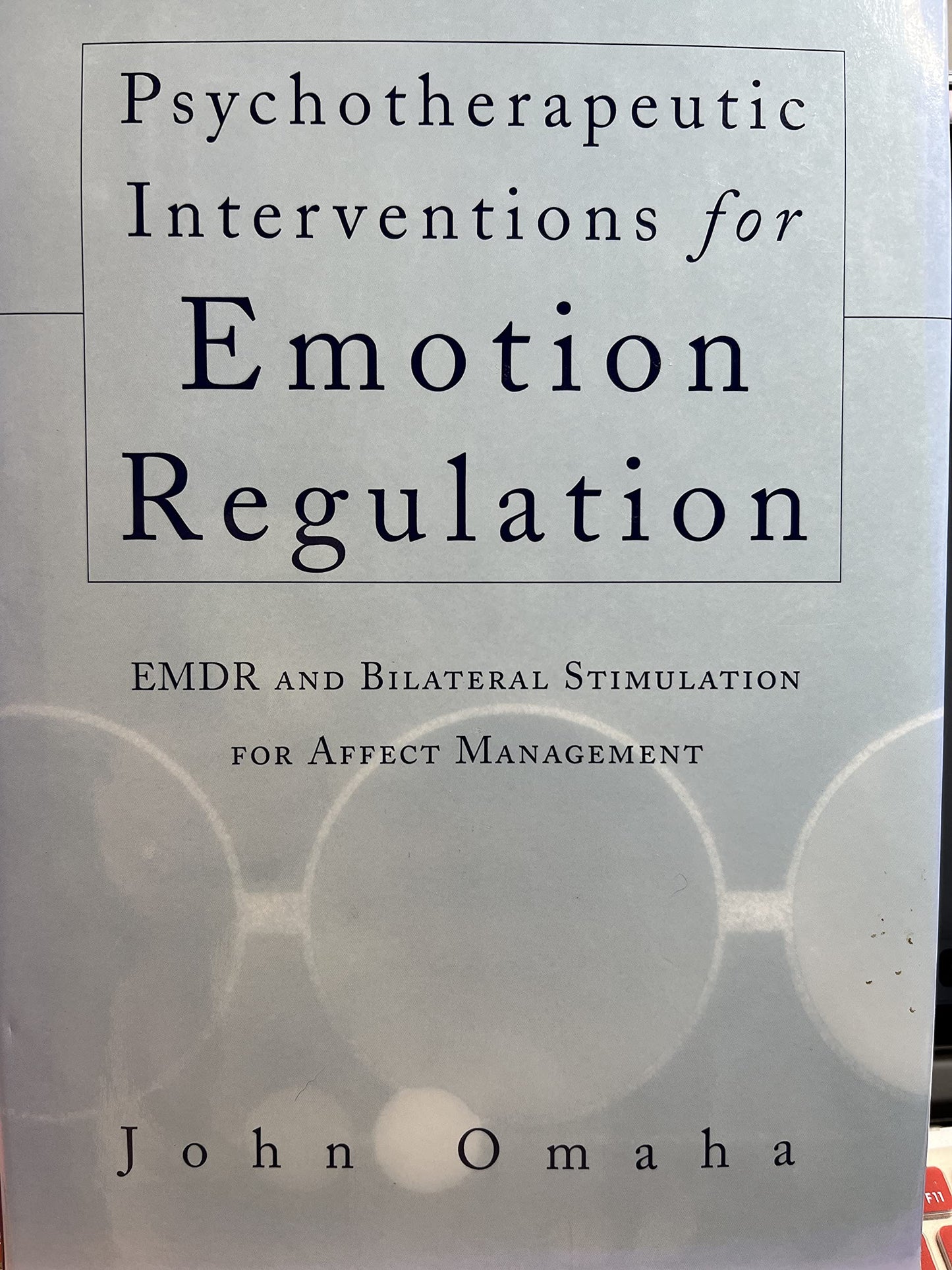 Psychotherapeutic Interventions for Emotion Regulation: EMDR and Bilateral Stimulation for Affect Management (Norton Professional Books)