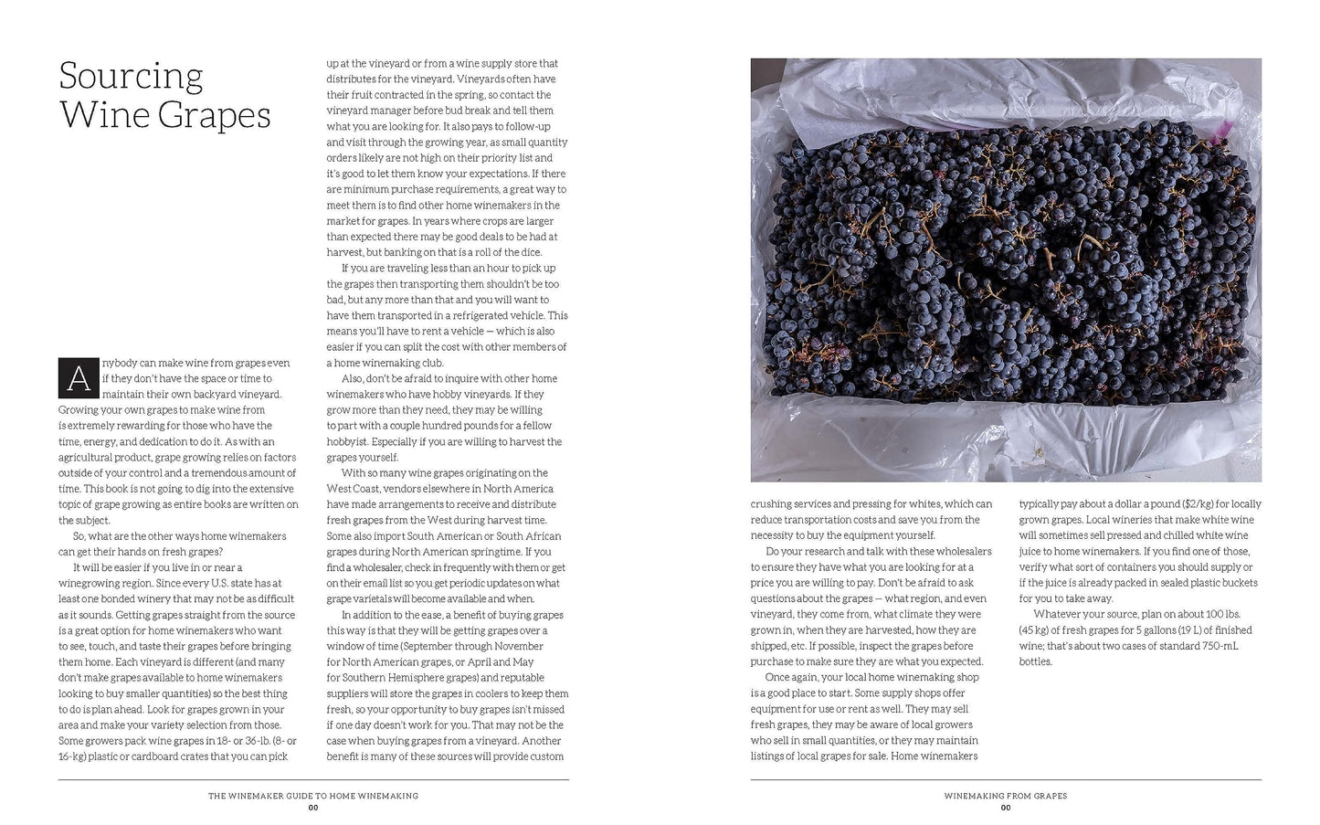 The WineMaker Guide to Home Winemaking: Craft Your Own Great