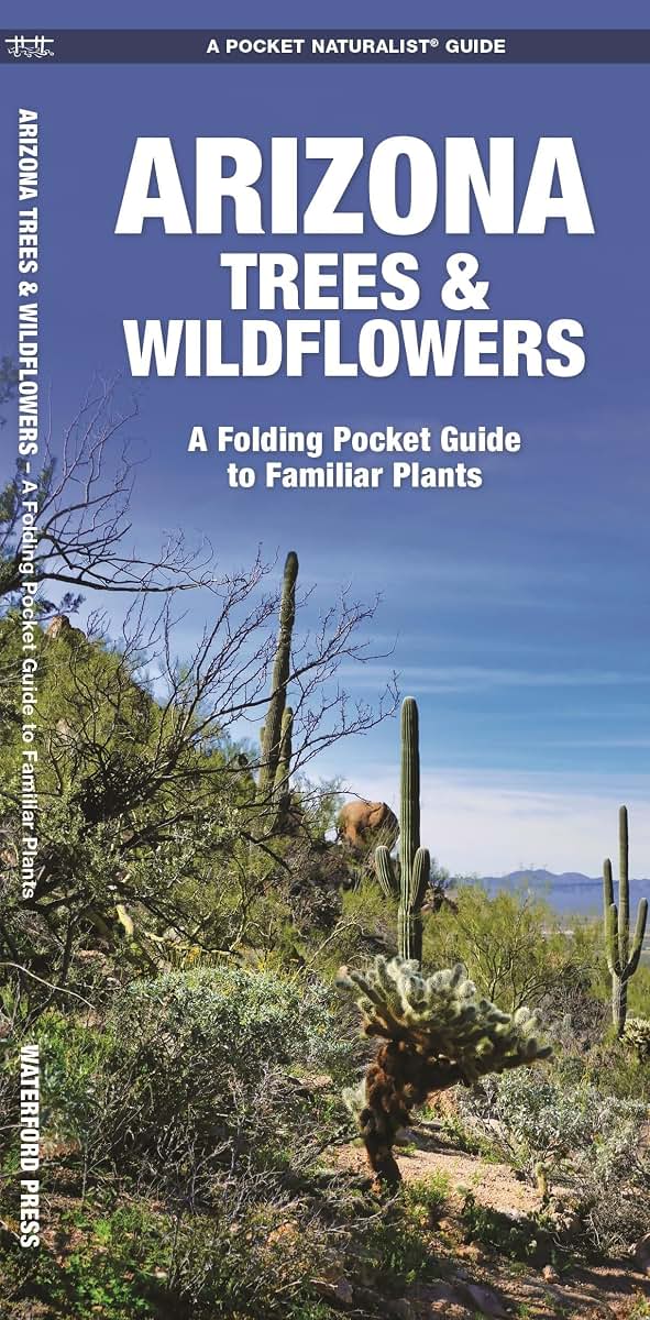 Arizona Trees & Wildflowers: A Folding Pocket Guide to Familiar Plants (Nature Observation North America)