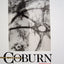 Alvin Langdon Coburn: Photographs 1900-1924