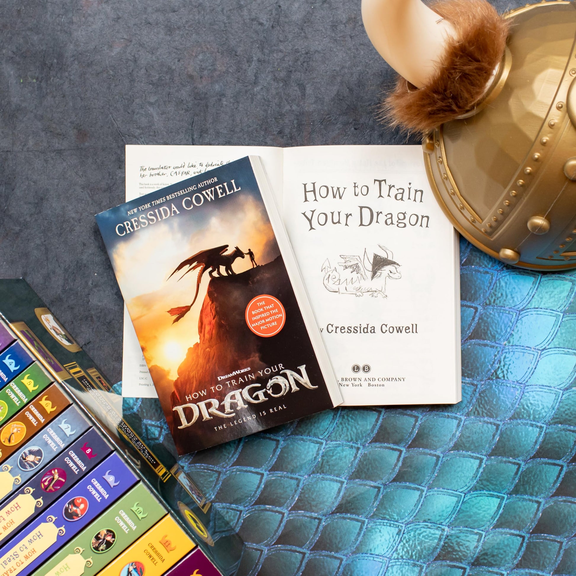 How to Train Your Dragon