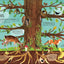 The Magic and Mystery of Trees (The Magic and Mystery of the