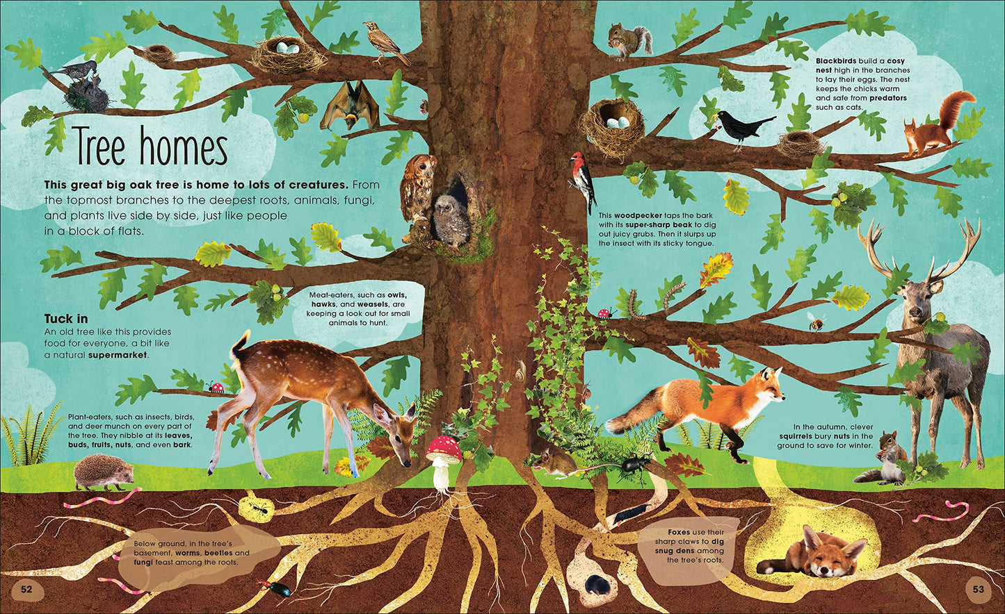 The Magic and Mystery of Trees (The Magic and Mystery of the