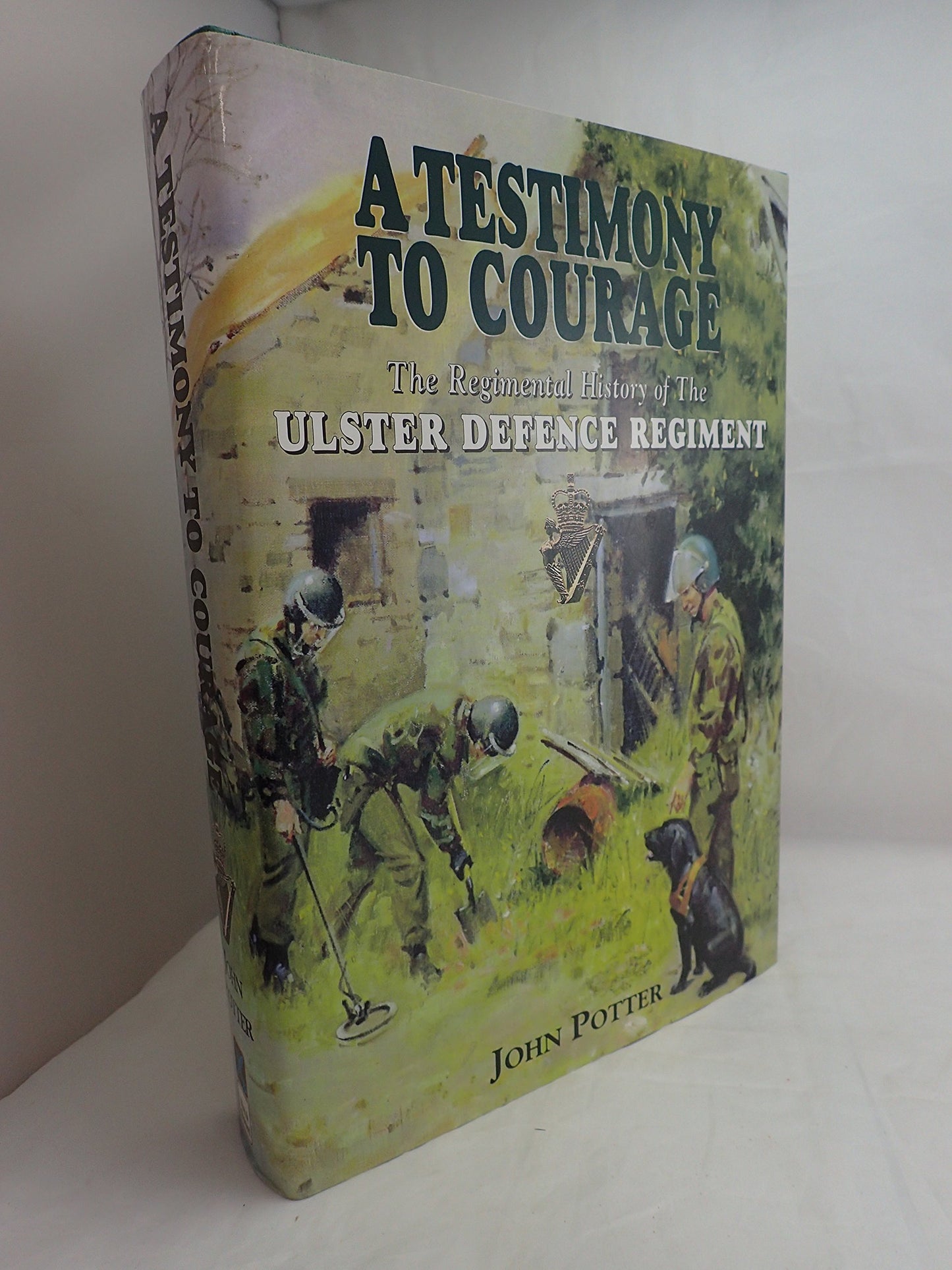 Testimony to Courage: The History of the Ulster Defence Regi