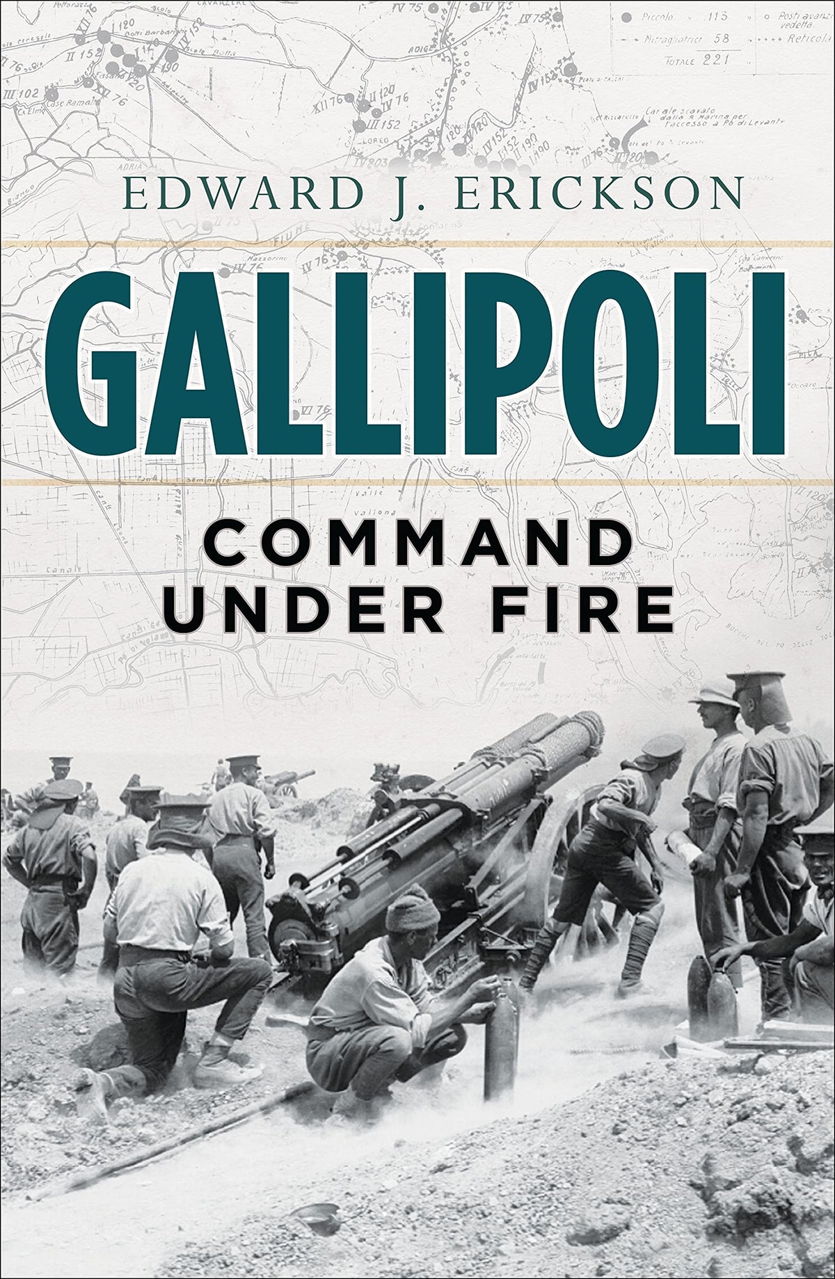 Gallipoli: Command Under Fire (General Military)