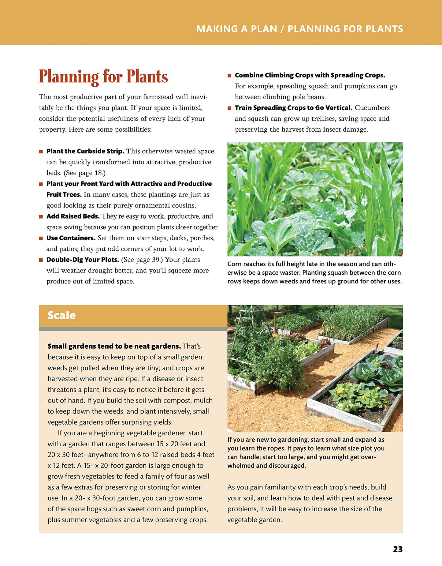 Backyard Homesteading: A Back-to-Basics Guide to Self-Suffic