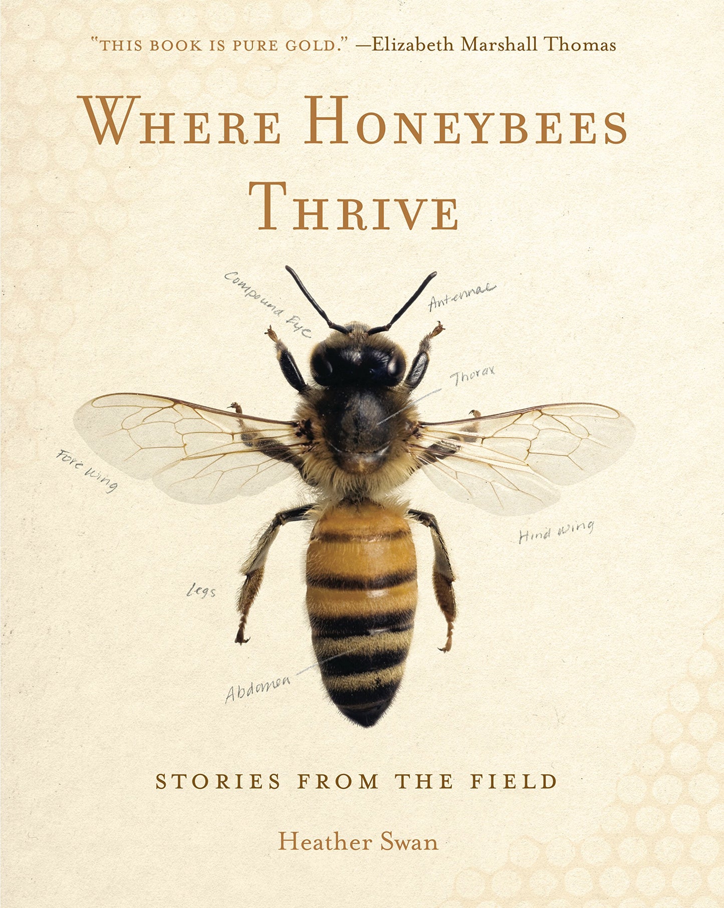 Where Honeybees Thrive: Stories from the Field (Animalibus: Of Animals and Cultures)
