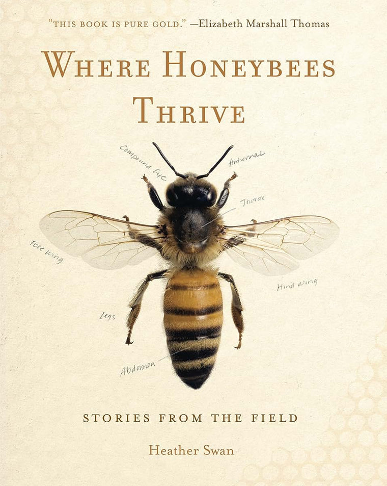 Where Honeybees Thrive: Stories from the Field (Animalibus: Of Animals and Cultures)