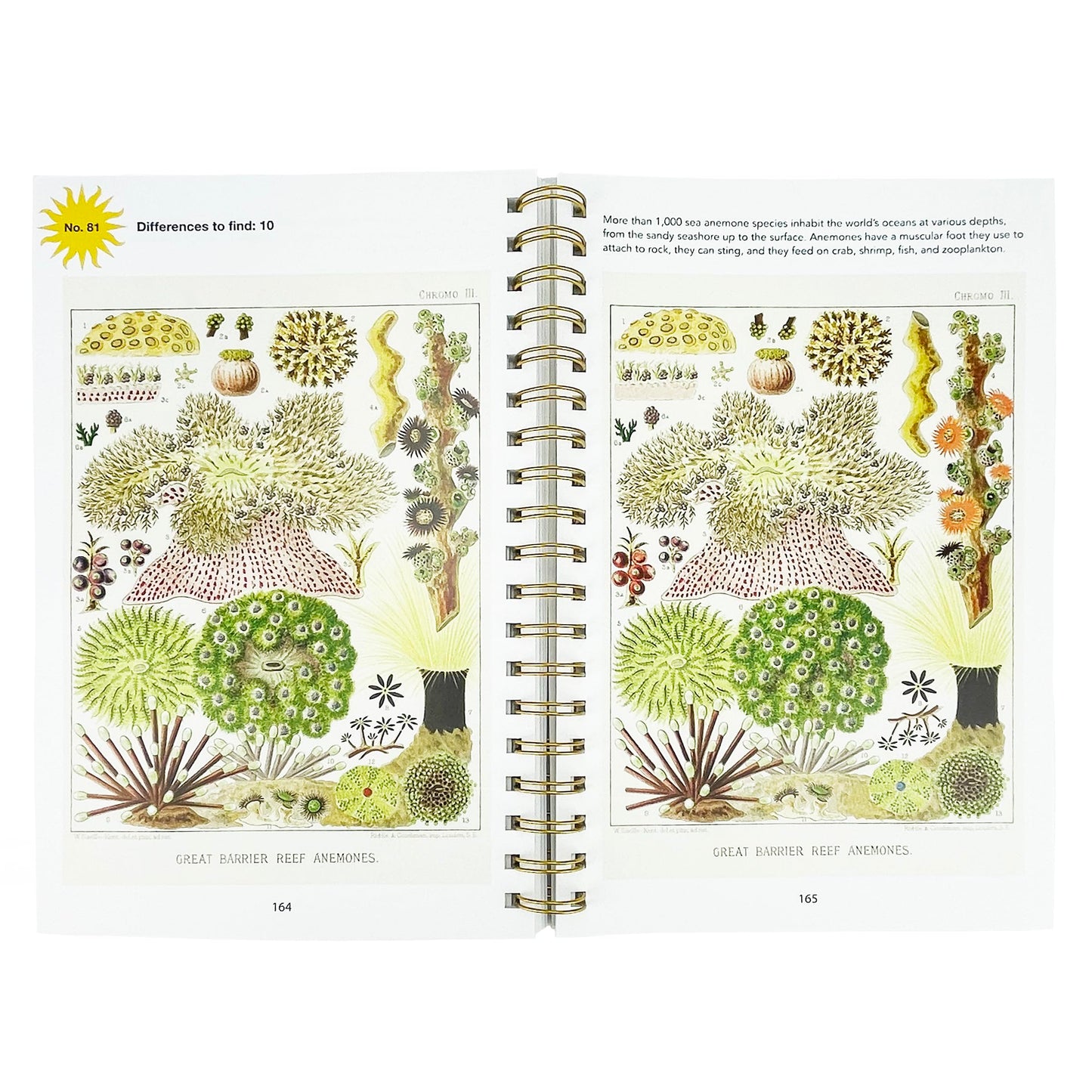 Smithsonian Spot the Difference - Natural Wonders From the Archives, 100+ Picture Puzzles for Adults - Includes Spiral Bound / Lay Flat Design (Brain Busters)