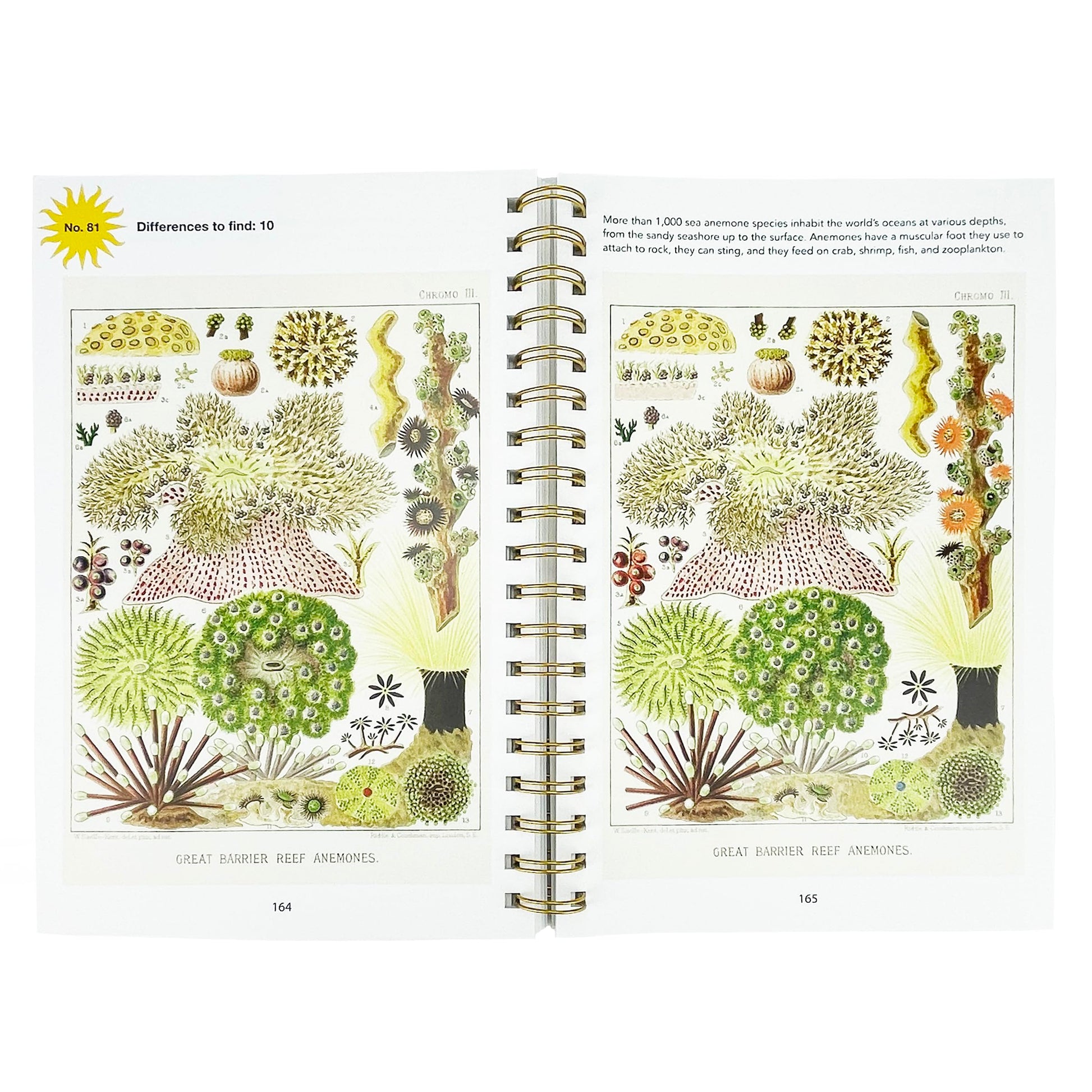 Smithsonian Spot the Difference - Natural Wonders From the Archives, 100+ Picture Puzzles for Adults - Includes Spiral Bound / Lay Flat Design (Brain Busters)