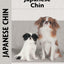 Japanese Chin: A Comprehensive Guide to Owning and Caring for Your Dog (CompanionHouse Books) (Kennel Club Book) An Owner's Guide to Training, Puppy Care, Health, Characteristics, History, and More