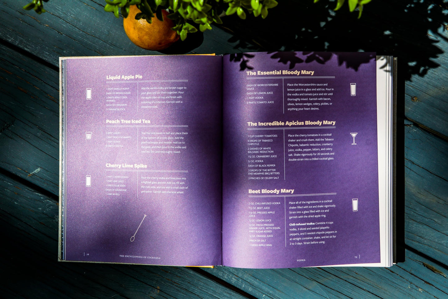 The Encyclopedia of Cocktails: Over 1,000 Cocktails for Every Occasion (Encyclopedia Cookbooks)