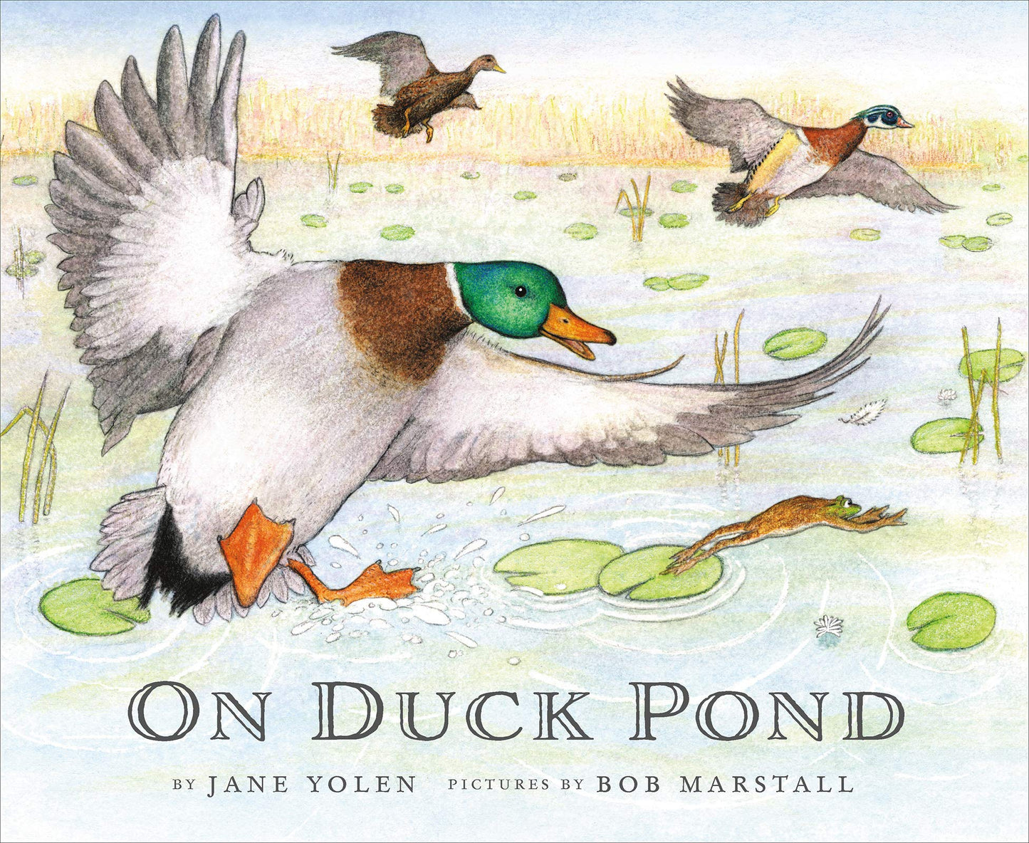 On Duck Pond (On Bird Hill and Beyond, 2)