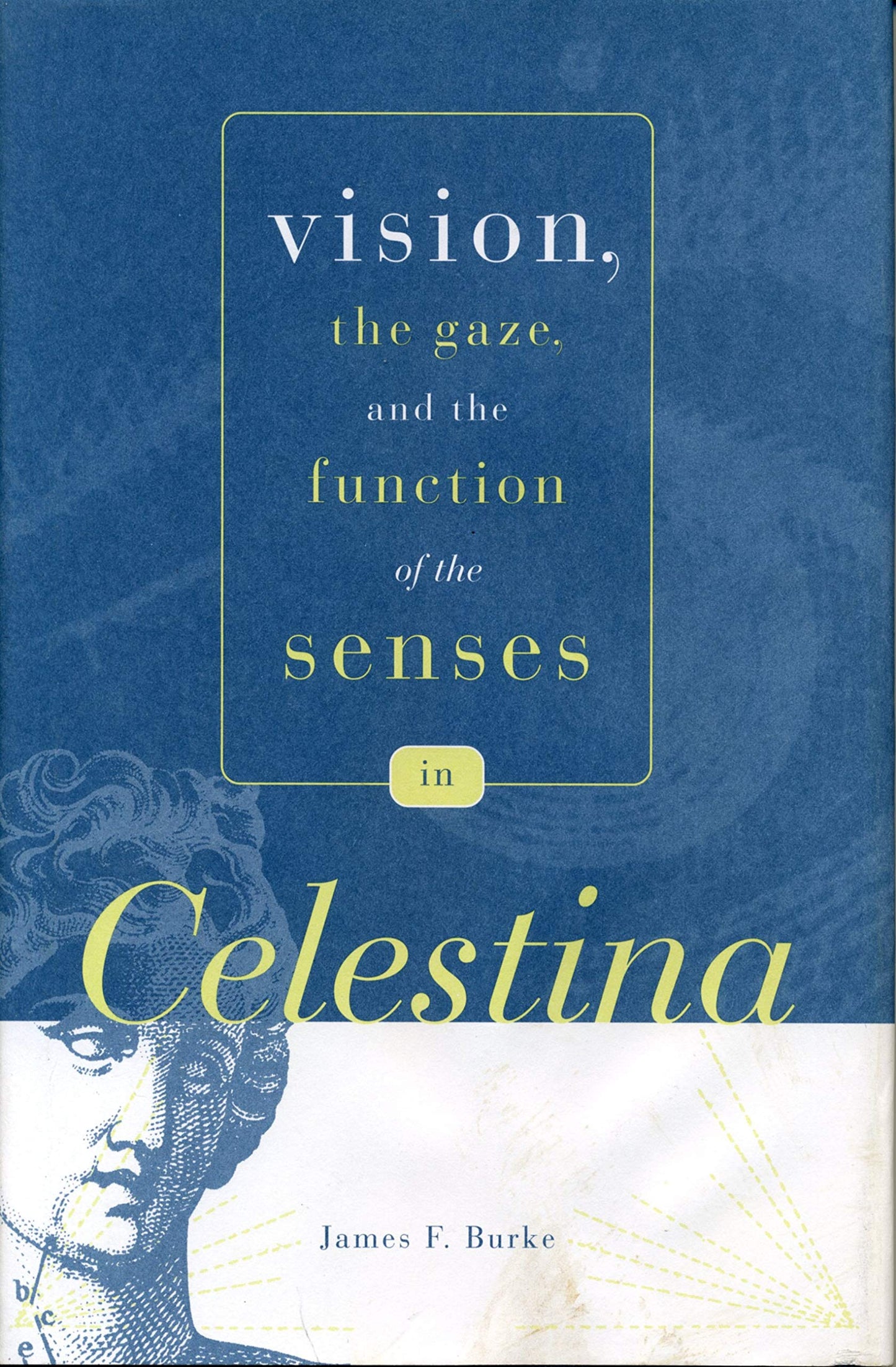 Vision, the Gaze, and the Function of the Senses in Celestina (Studies in Romance Literatures)