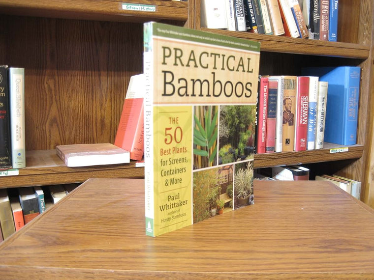 Practical Bamboos: The 50 Best Plants for Screens, Container