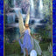 The Crystal Ally Cards: Evolution Edition Cards & Book Boxed Set