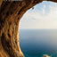 The Art of Climbing