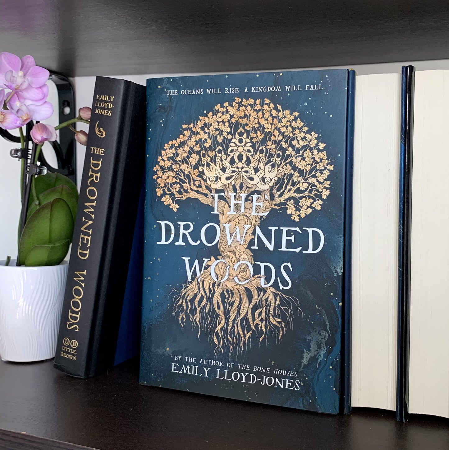 The Drowned Woods