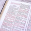 Douay-Rheims Bible Large Print Edition