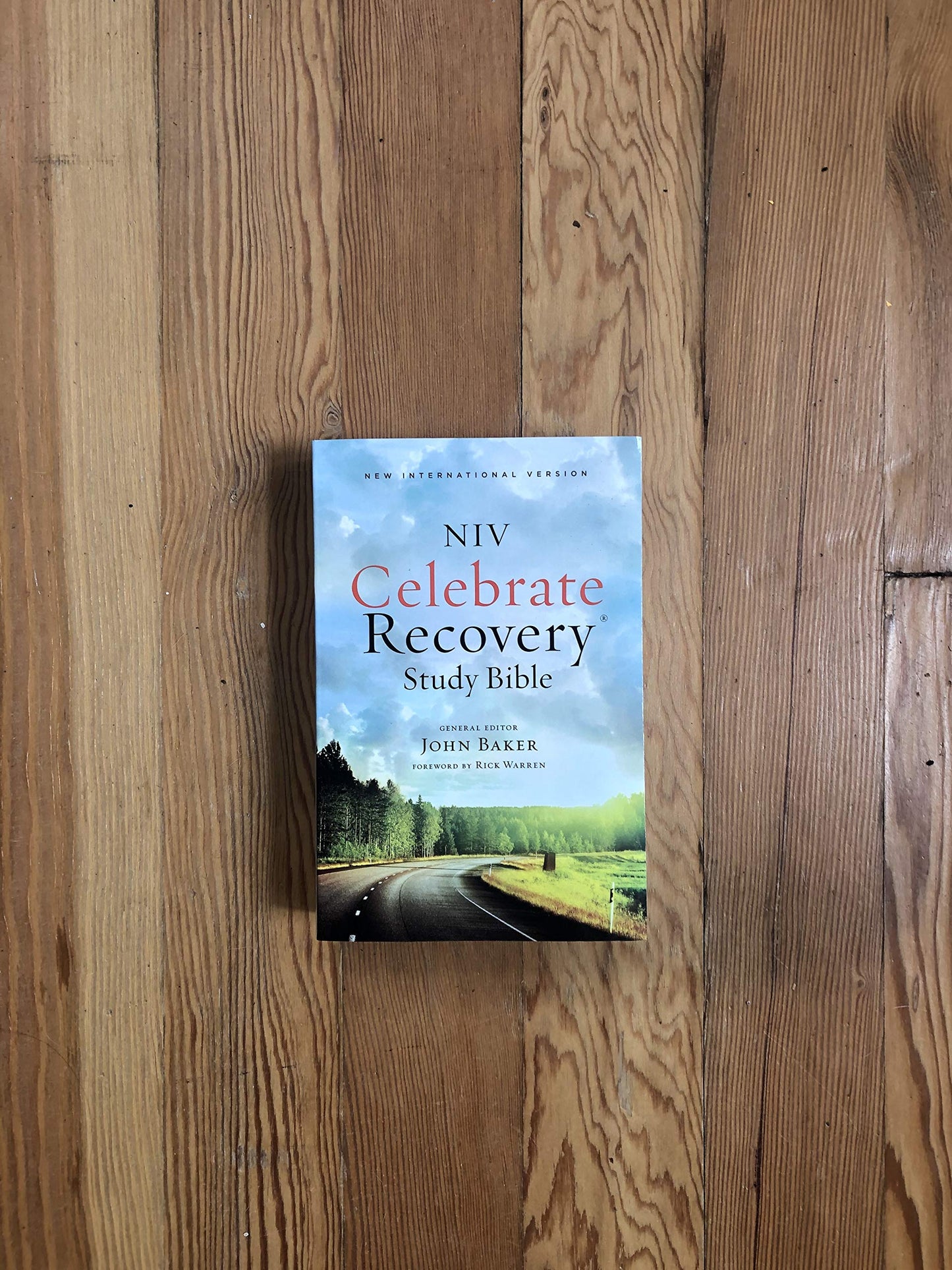 NIV, Celebrate Recovery Study Bible by Zondervan