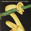 Neotropical Treeboas: Natural History of the Corallus hortulanus Complex