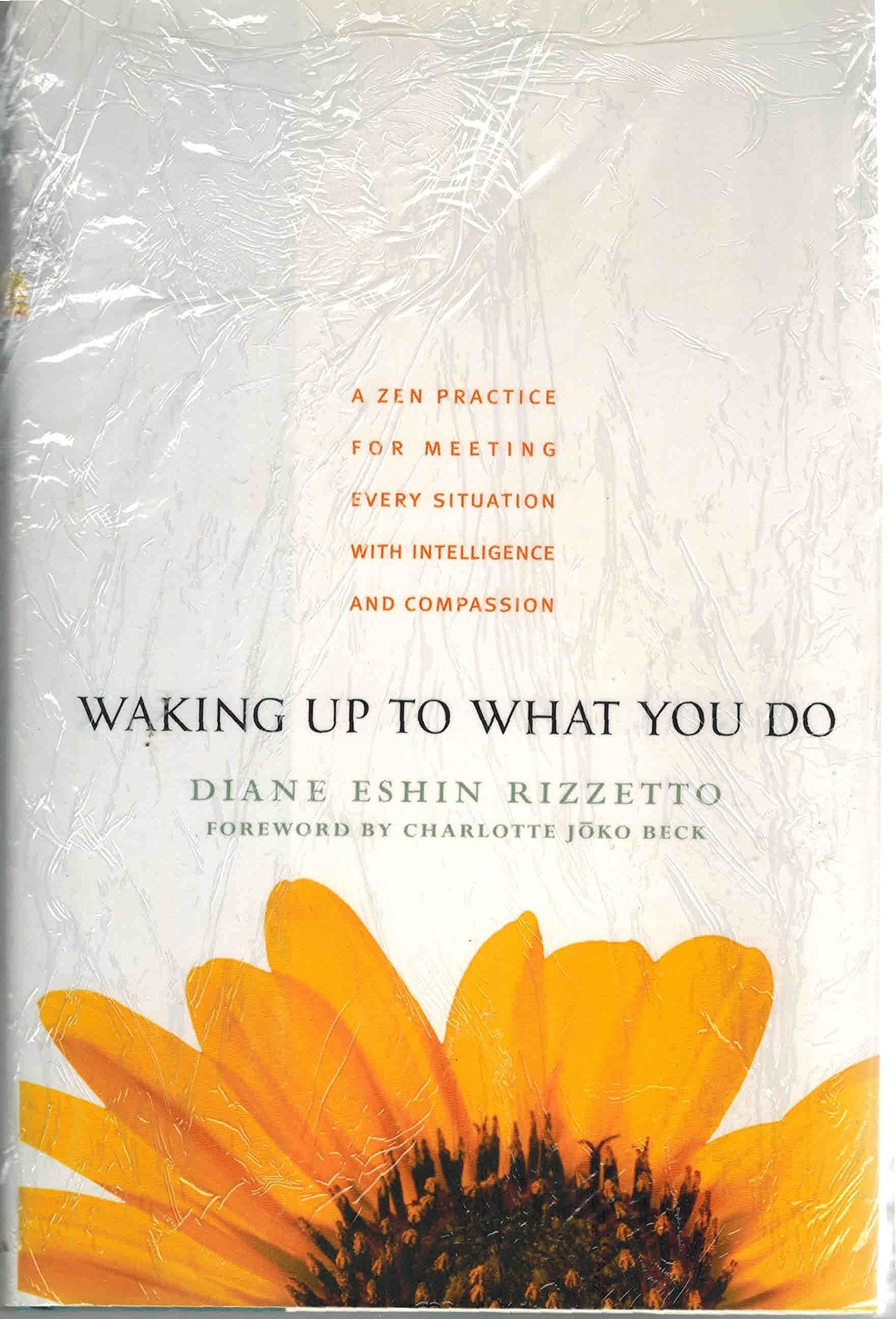 Waking Up to What You Do: A Zen Practice for Meeting Every Situation with Intelligence and Compassion