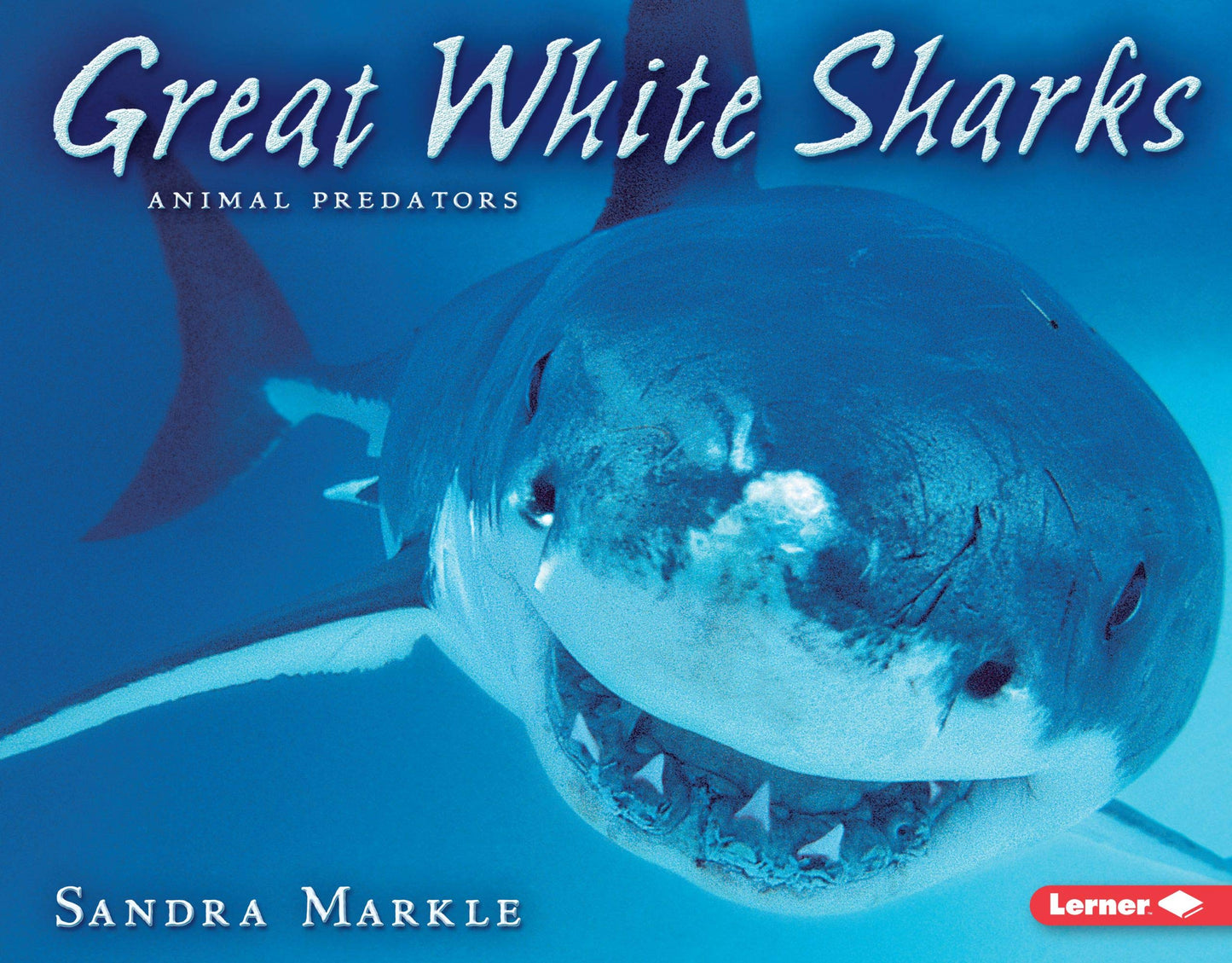Great White Sharks (Animal Predators)