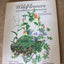 Wildflowers of Indiana