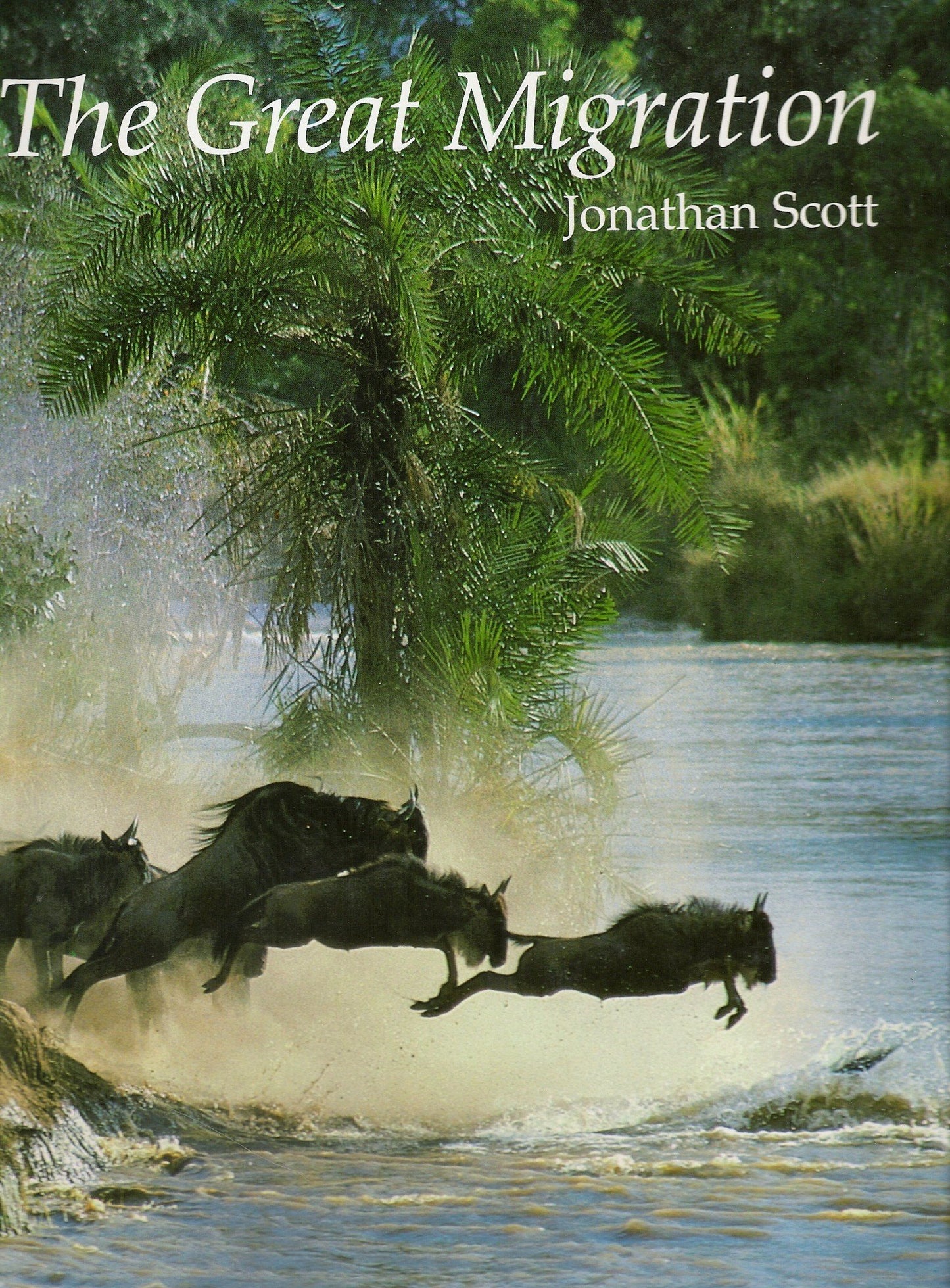 The Great Migration