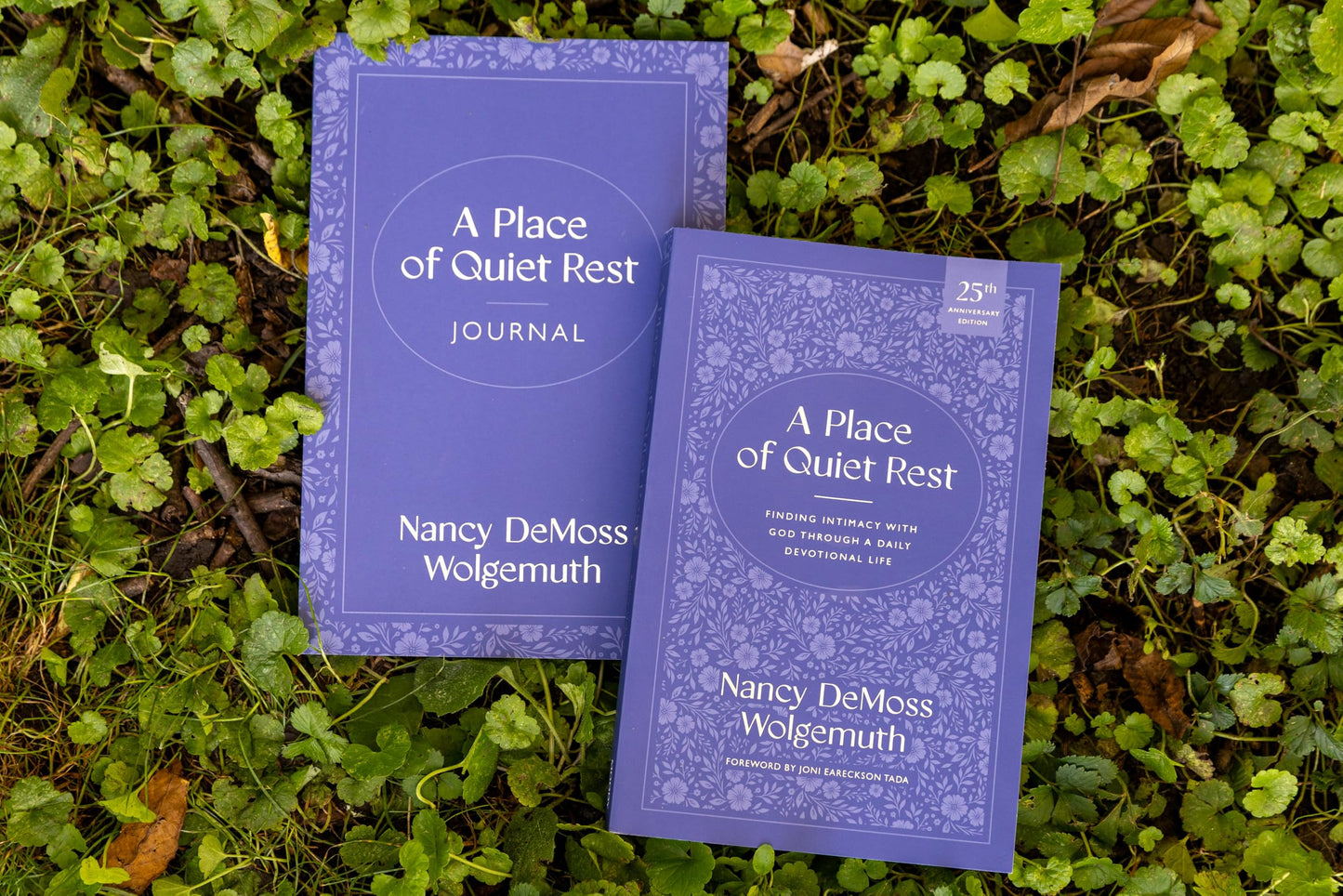A Place of Quiet Rest: Finding Intimacy with God Through a Daily Devotional Life