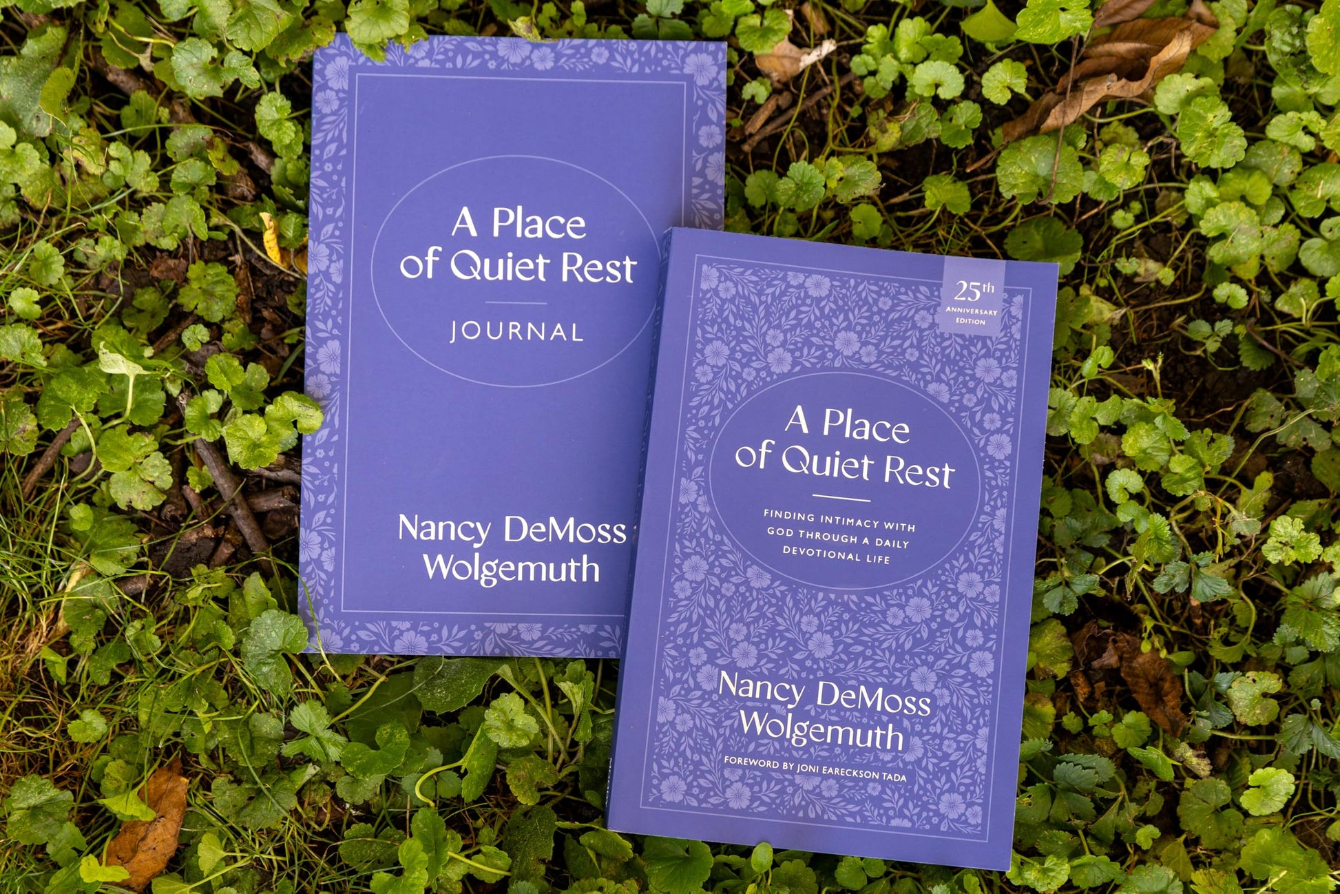 A Place of Quiet Rest: Finding Intimacy with God Through a Daily Devotional Life