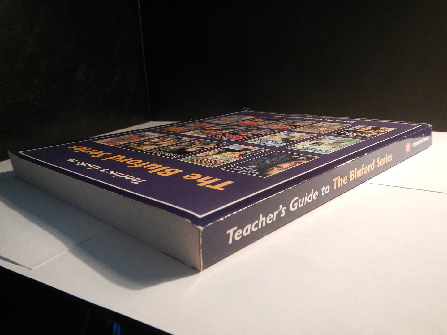 Teacher's Guide to The Bluford Series