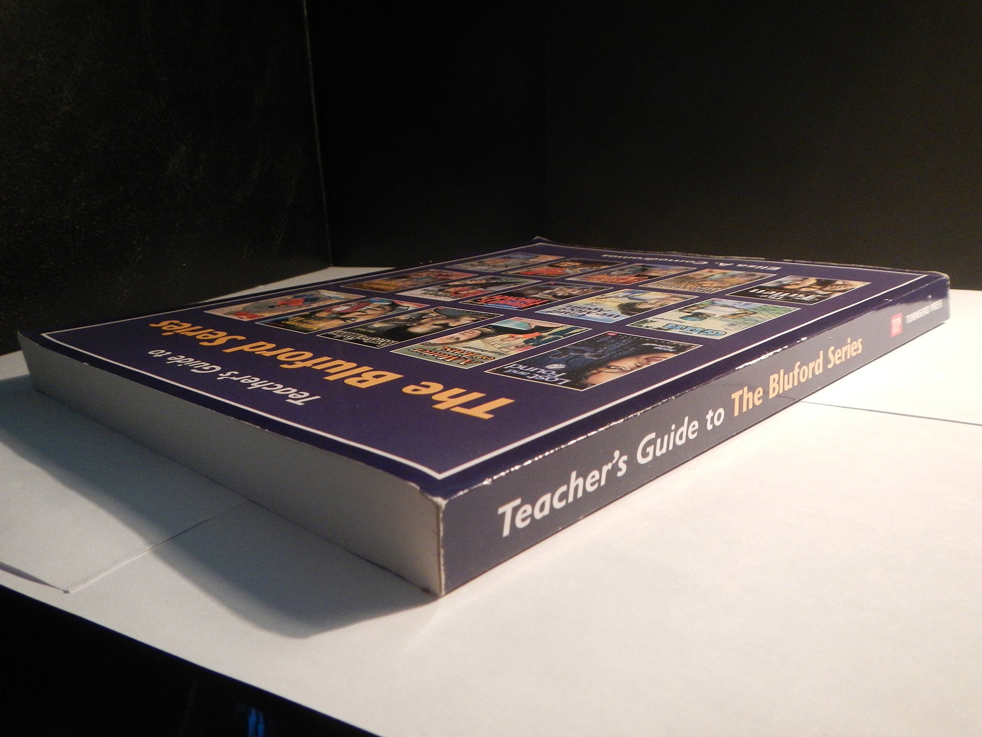 Teacher's Guide to The Bluford Series