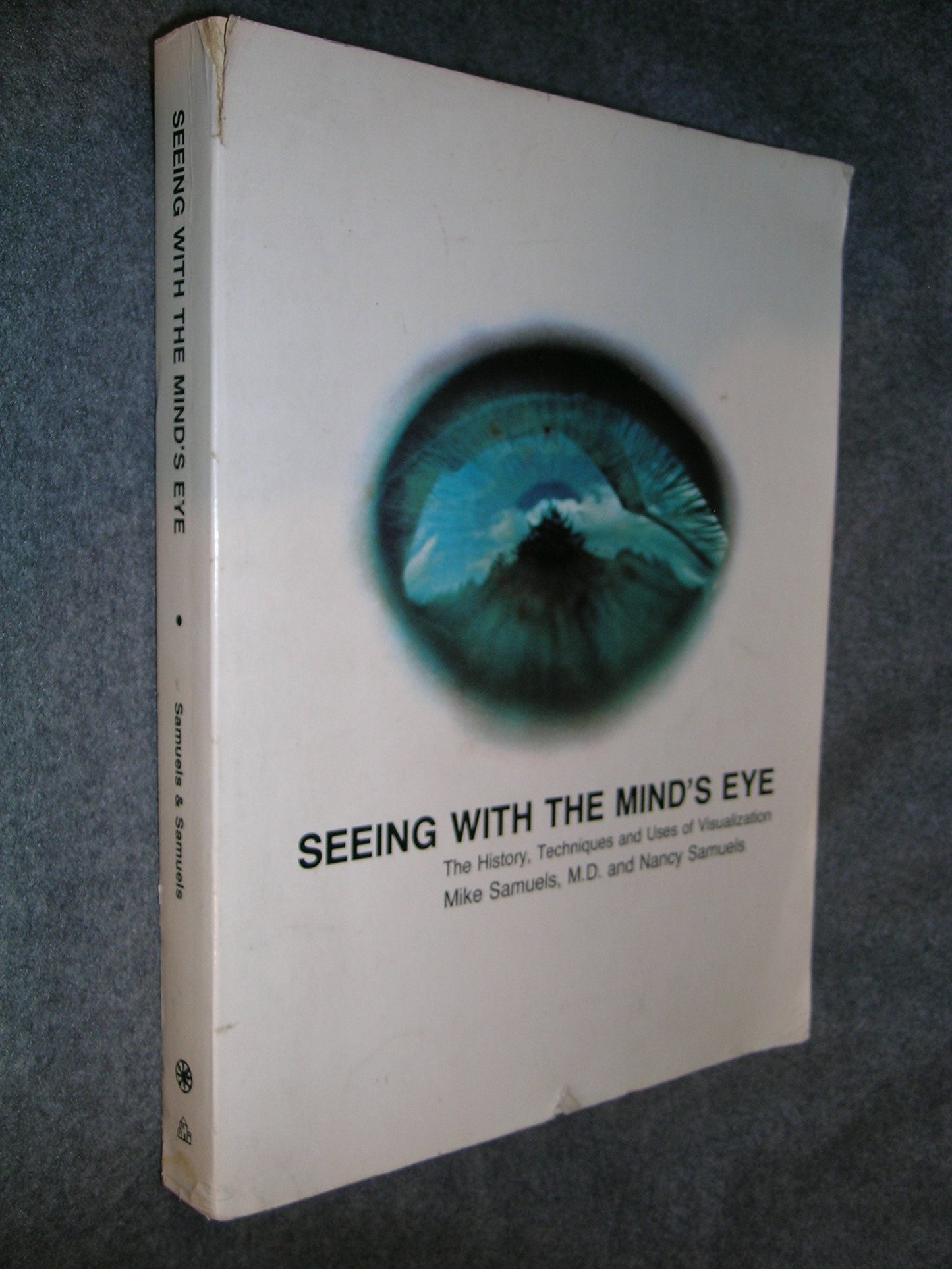 Seeing With The Minds Eye: The History, Techniques and Uses of Visualization