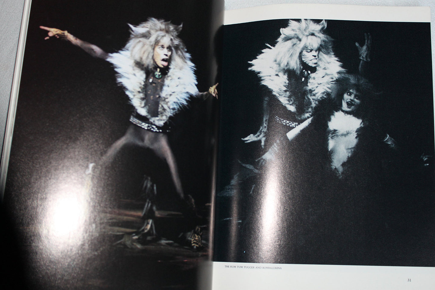 Cats: The Book of the Musical by Eliot, T. S.