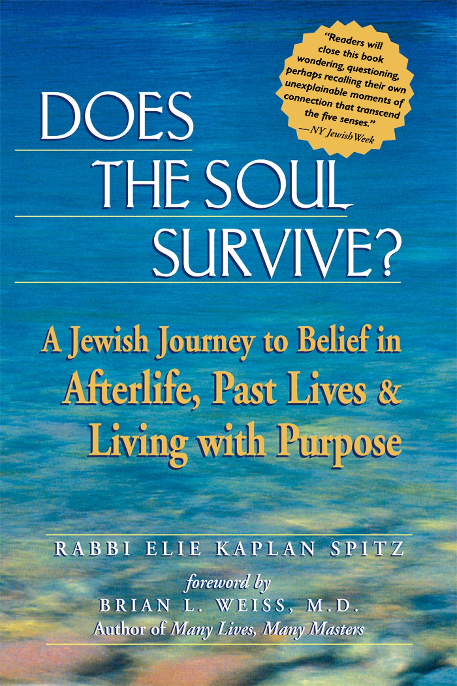 Does the Soul Survive?: A Jewish Journey to Belief in Afterlife, Past Lives & Living with Purpose