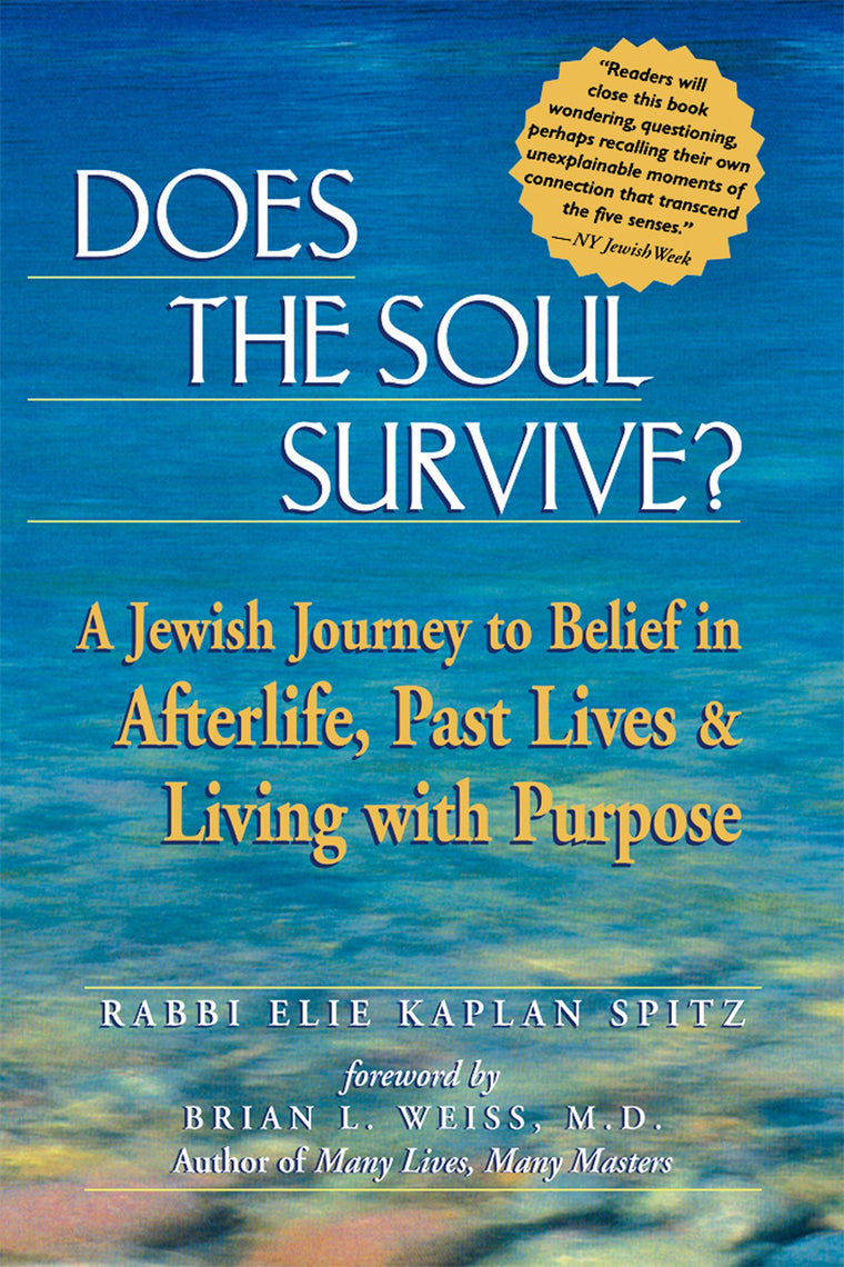 Does the Soul Survive?: A Jewish Journey to Belief in Afterlife, Past Lives & Living with Purpose
