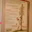 Trail Guide to the Body: How to Locate Muscles, Bones, and M