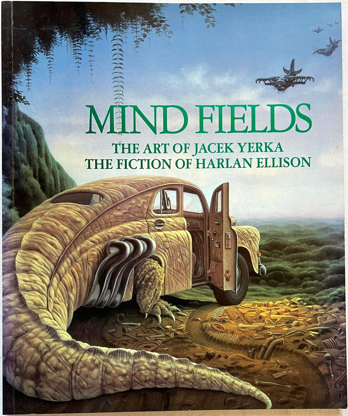 Minds Fields
