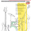 Essential Styles for the Drummer and Bassist, Bk 1: A Cross Section of Styles As Played by Today's Top Artists, Book & Online Audio