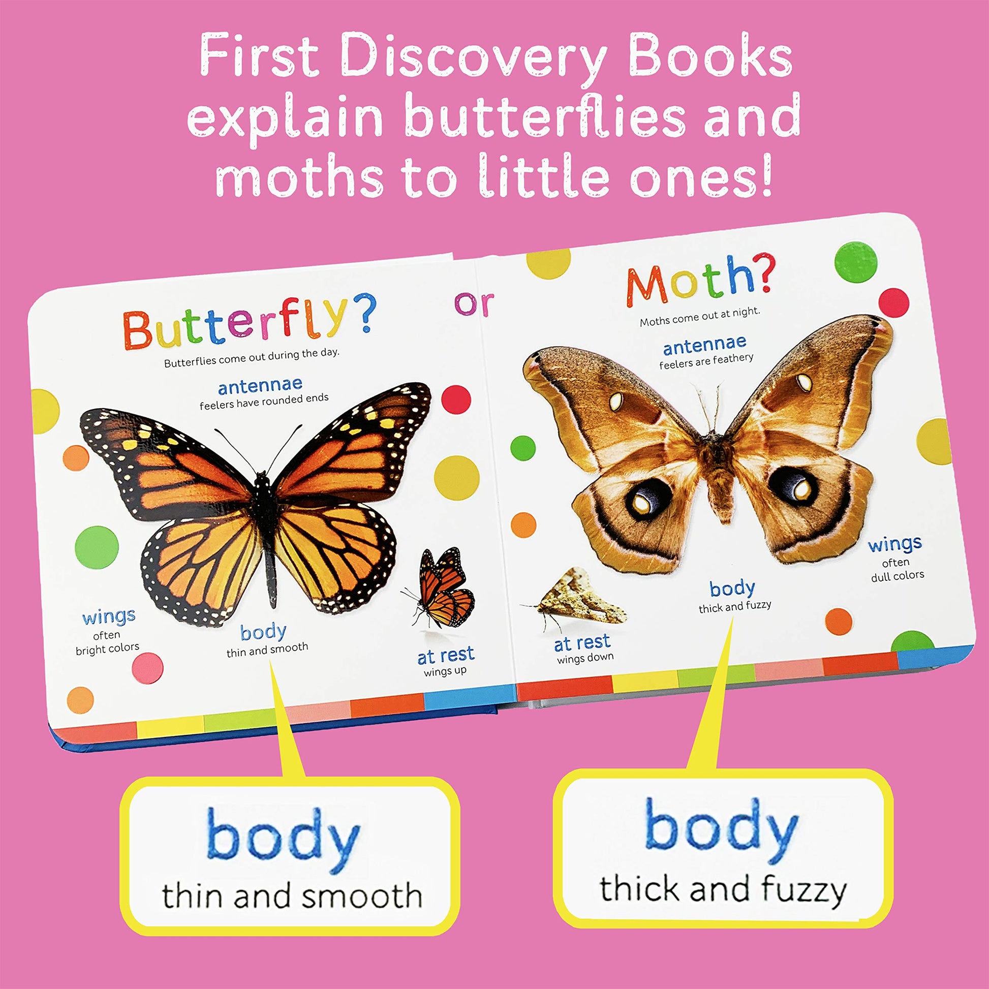 Butterflies and Moths (Smithsonian Kids First Discovery Books)