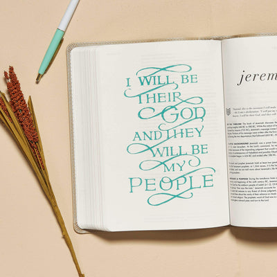CSB She Reads Truth Bible, Champagne Gold LeatherTouch, Black Letter, Full-Color Design, Wide Margins, Journaling Space, Devotionals, Reading Plans, Single-Column, Easy-to-Read Bible Serif Type