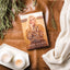 My Jesus: From Heartache to Hope (An Encouraging True Story of Recovering from Tragedy and Finding Purpose)