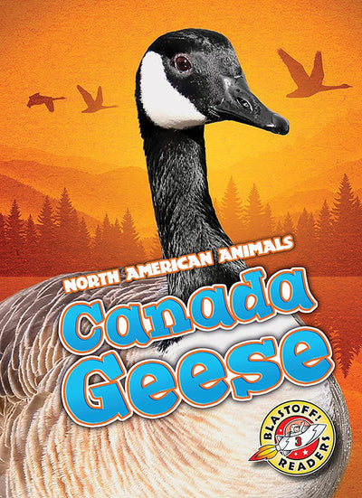 Canada Geese (North American Animals)