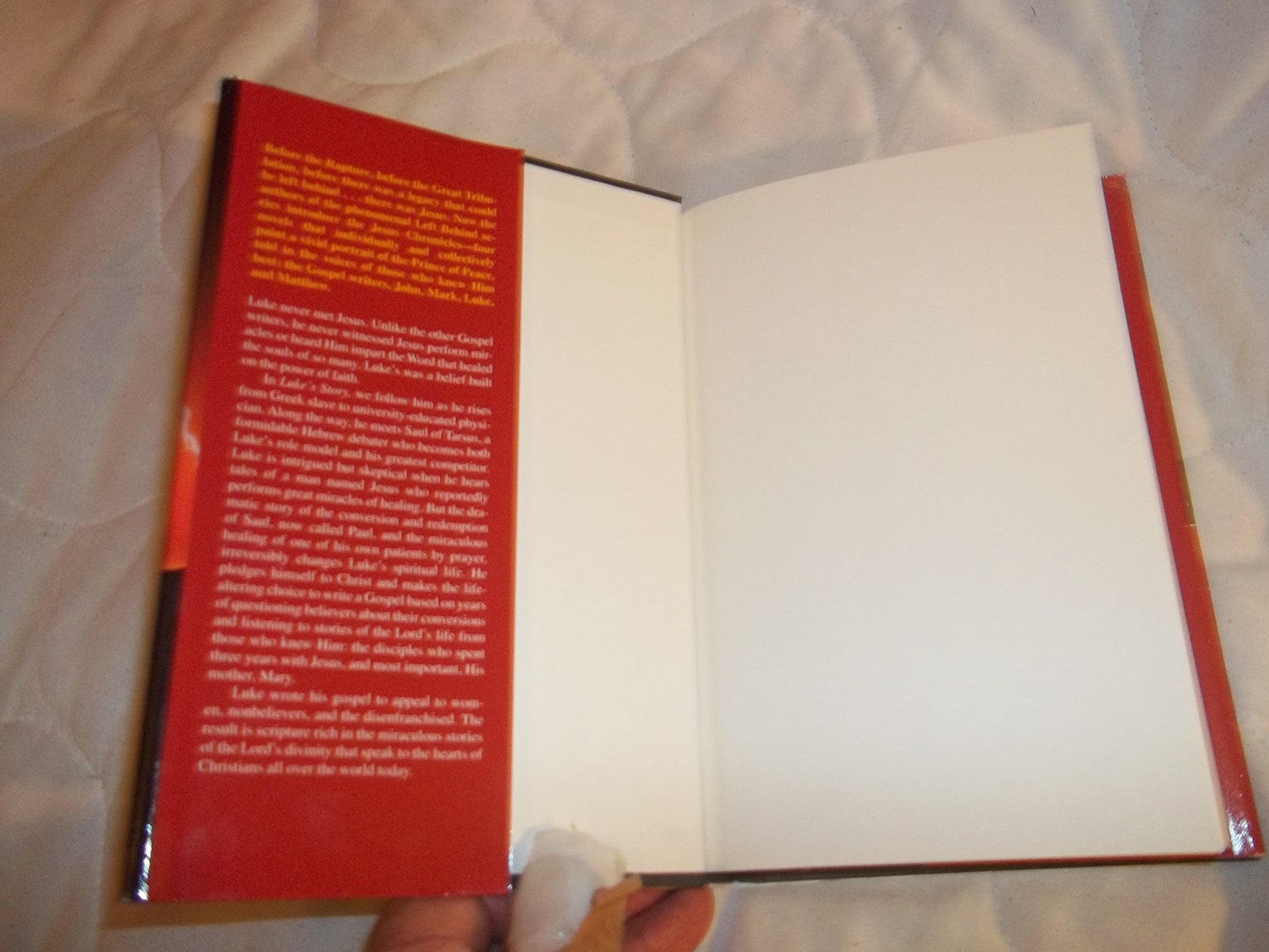 Luke's Story (The Jesus Chronicles)