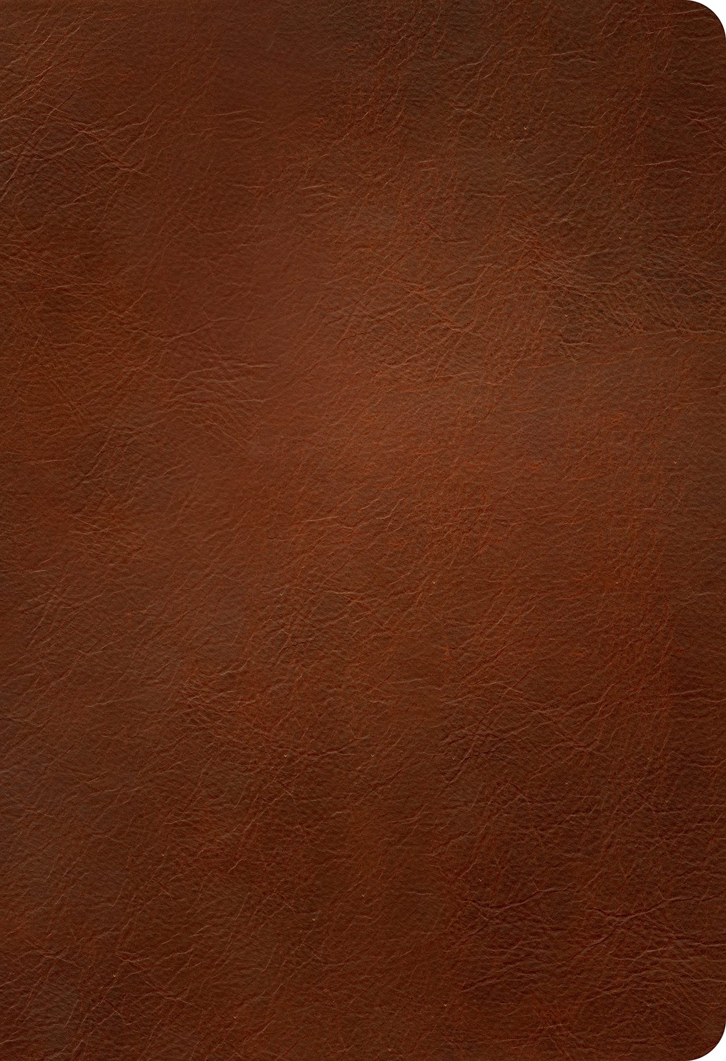 NLT Large Print Thinline Reference Bible, Filament Enabled (Genuine Leather, Brown, Red Letter)